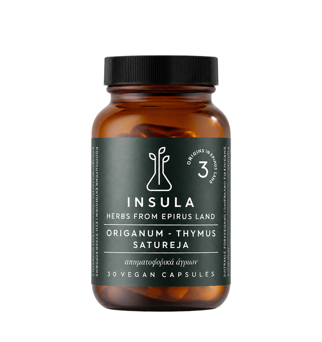 INSULA